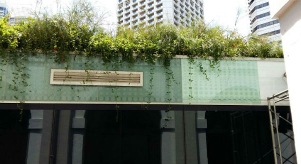 Exterior glass panel facade with dotted pattern and greenery.